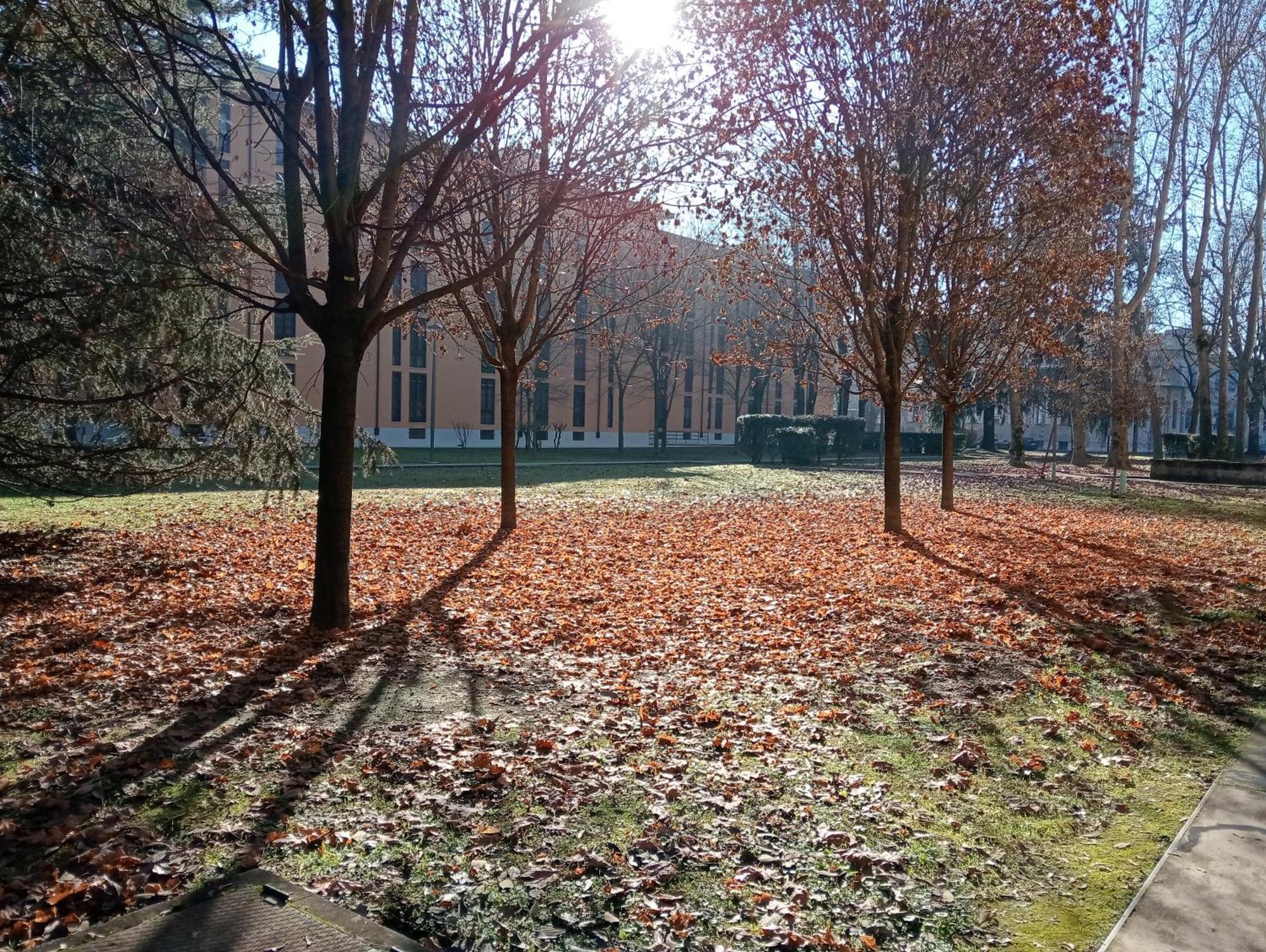 Sandonhouse Milano San Donato Milanese Bagian luar foto